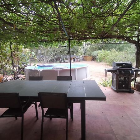 T2 indépendant terrasse et piscine au calme Var sud de la France Flassans-sur-Issole Extérieur photo